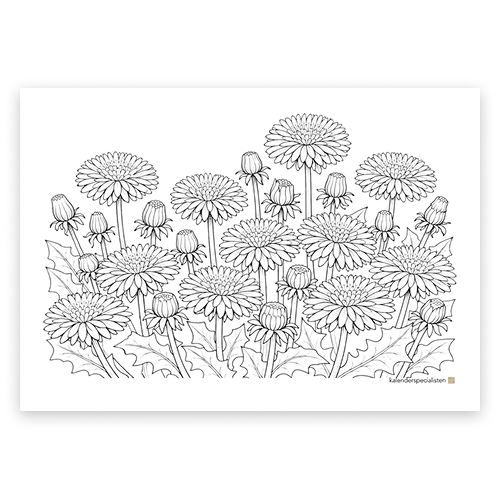 Förhandsvisning av målarsidan som visar maskrosor, blad och knoppar.