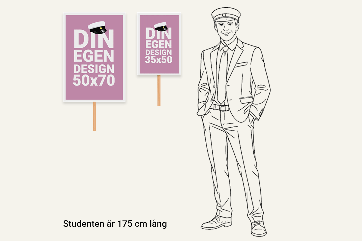 Storleksguide för studentskyltar: jämförelse mellan 50x70 cm och 35x50 cm mot person på 175 cm