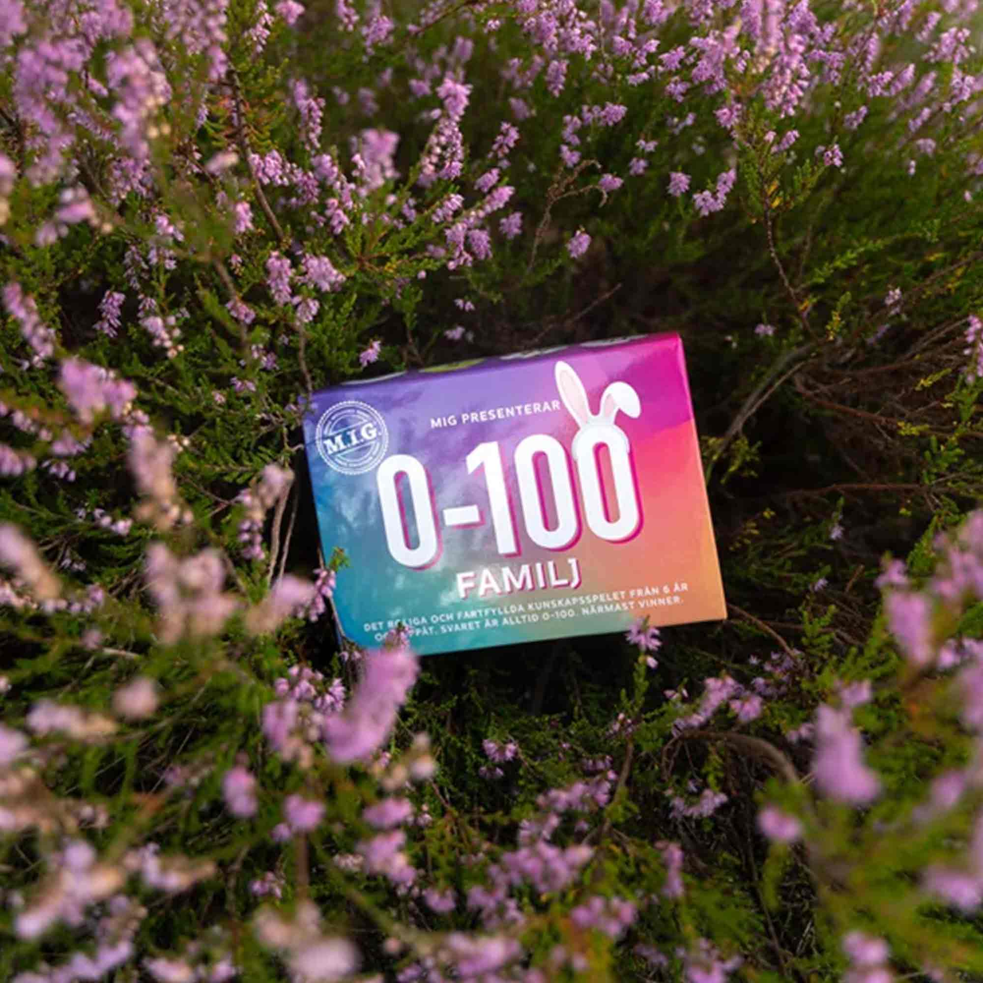 Frågespel MIG 0-100 Familj