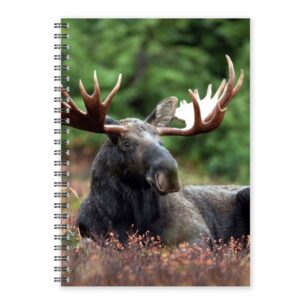 Anteckningsbok Älg A5 Framsida