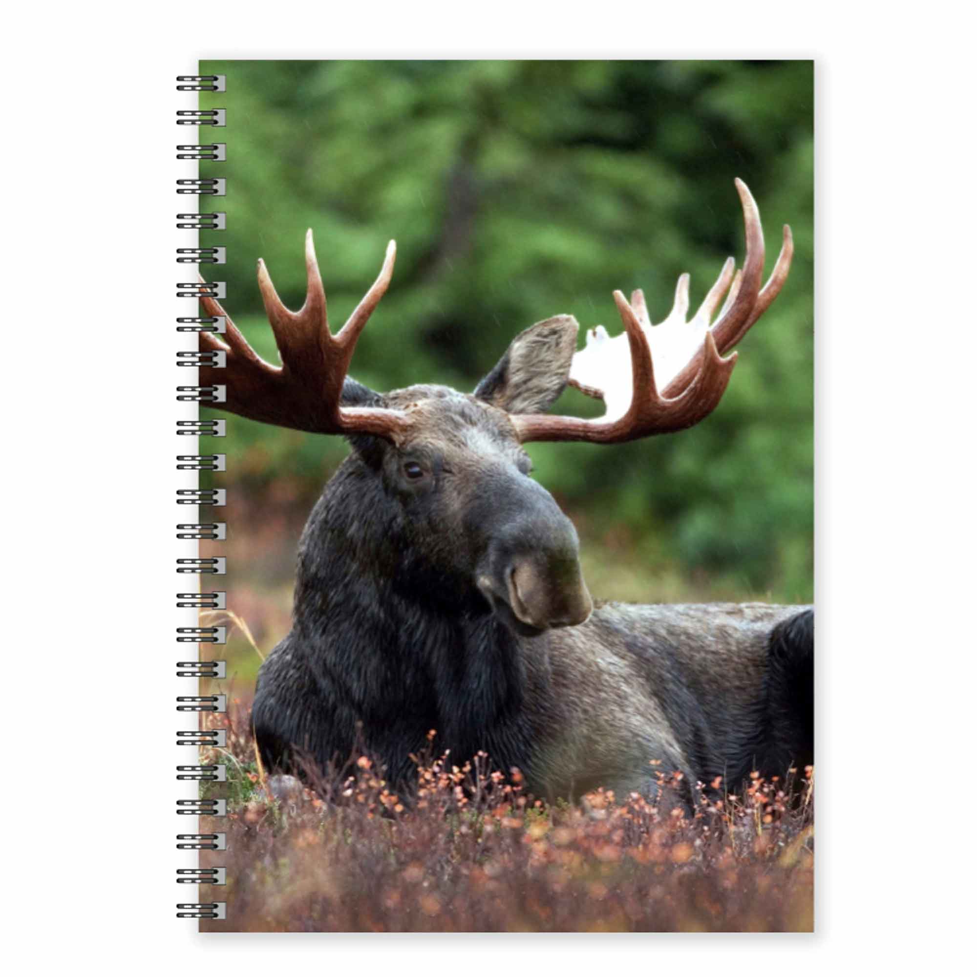 Anteckningsbok Älg A5 Framsida