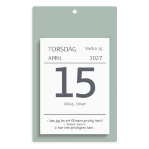 Kalender Väggplån med dagblock Humor 2027