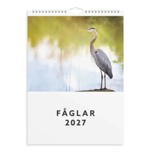 Väggkalender Fåglar 2027 Burde