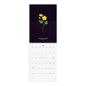 Väggkalender Illustrerad Blomster 2027